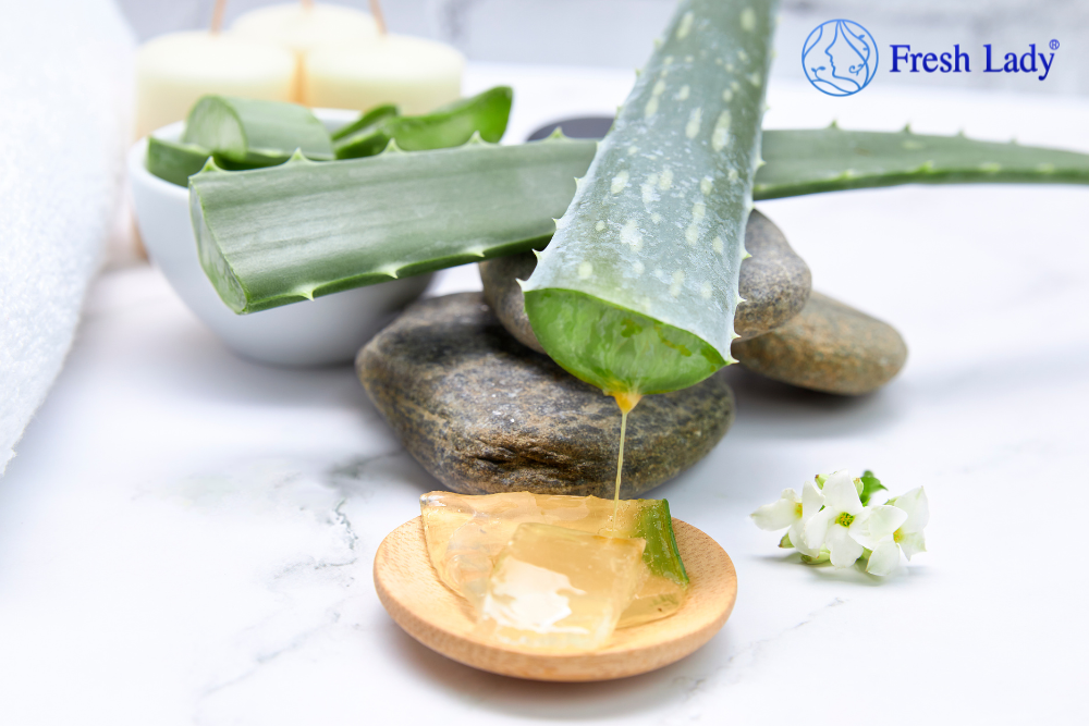 Công dụng xử lý nám của nha đam