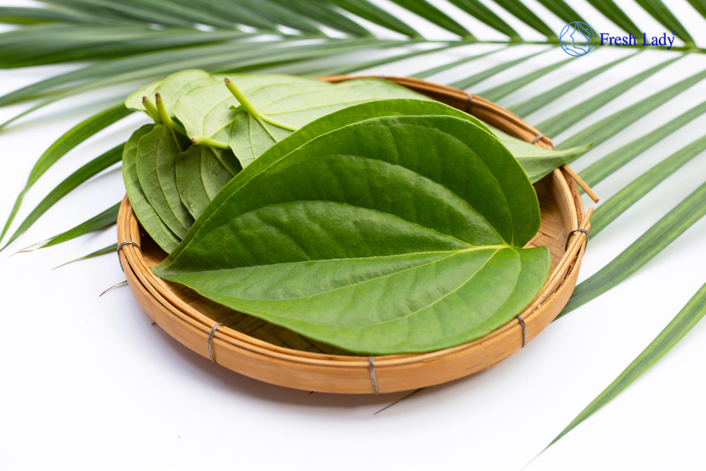 Cách trị nám bằng lá trầu không mang lại lợi ích gì?